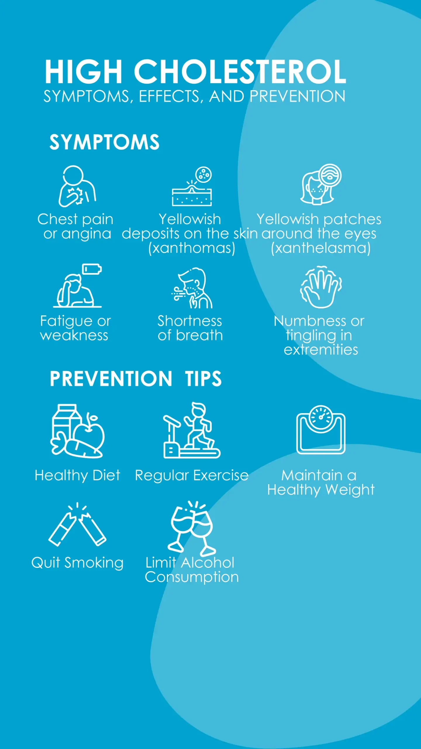 High Cholesterol: Symptoms, Effects, and Prevention Tips - Meae Care